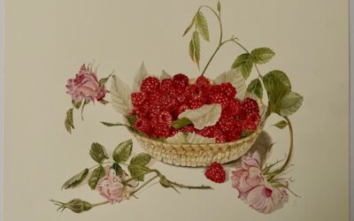 Margaret Stevens “Rasberries”