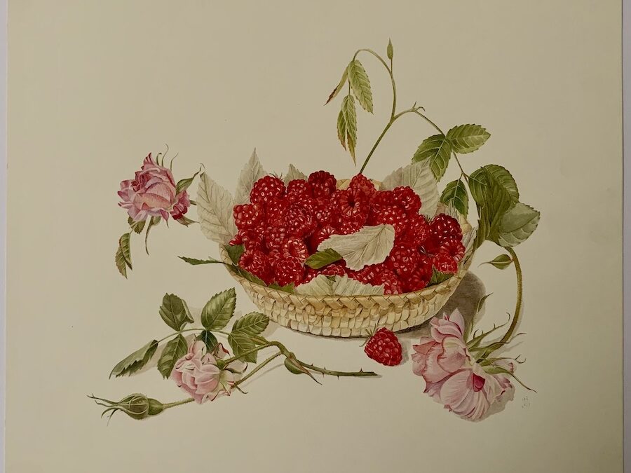 Margaret Stevens “Rasberries”