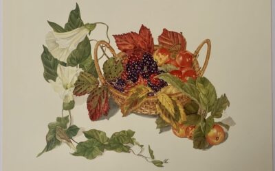 Margaret Stevens “Autumn fruits”